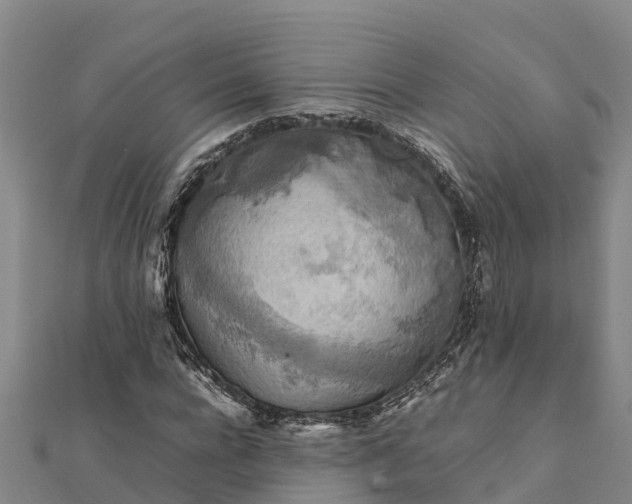 X0000112090920200908181300