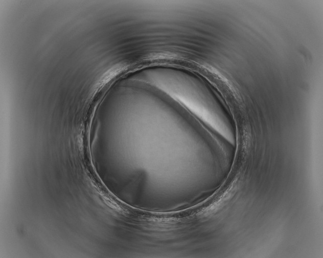 X0000112090921200908181300