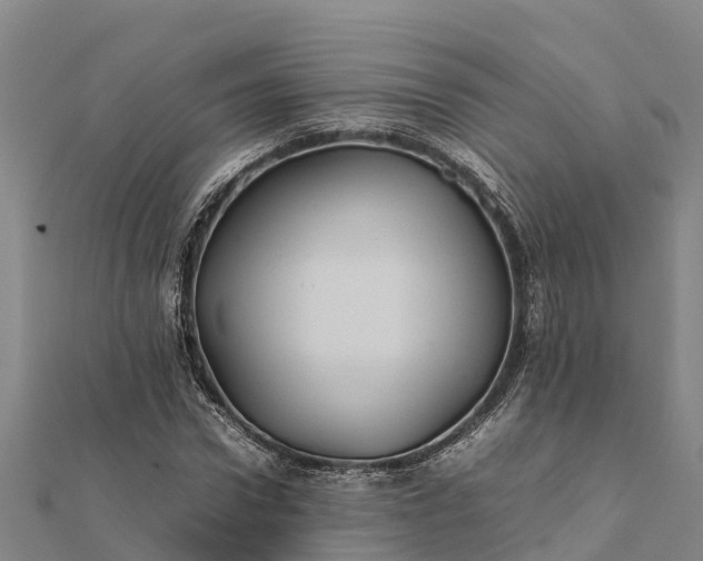 X0000112090922200908181300