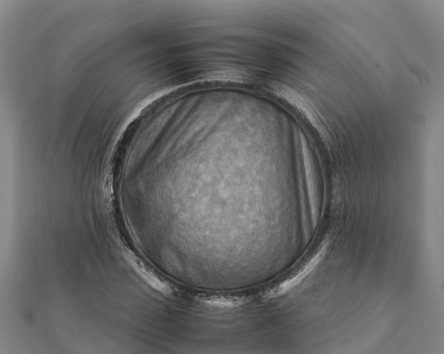 X0000112090923200908181300