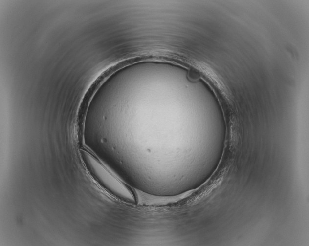 X0000112090924200908181300