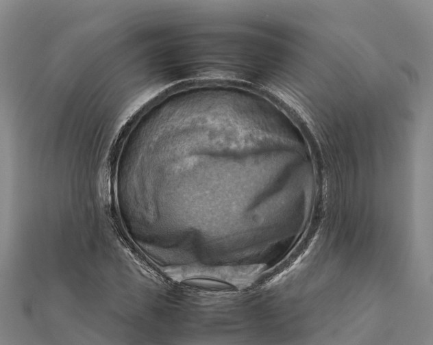 X0000112090925200908181300