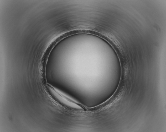 X0000112090926200908181300