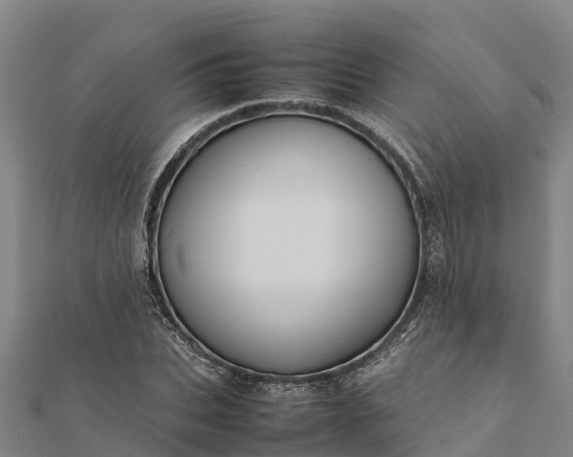 X0000112090927200908181300