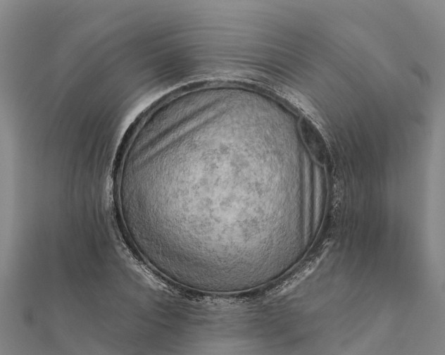 X0000112090928200908181300