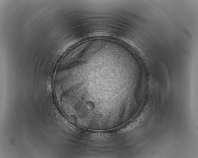 X0000112090929200908181300