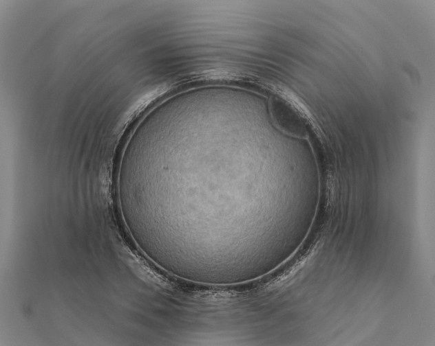 X0000112090930200908181300