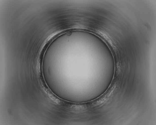 X0000112090931200908181300