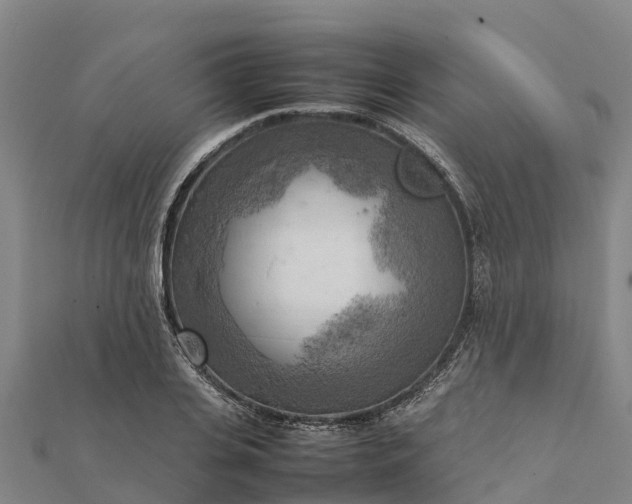 X0000112090935200908181301