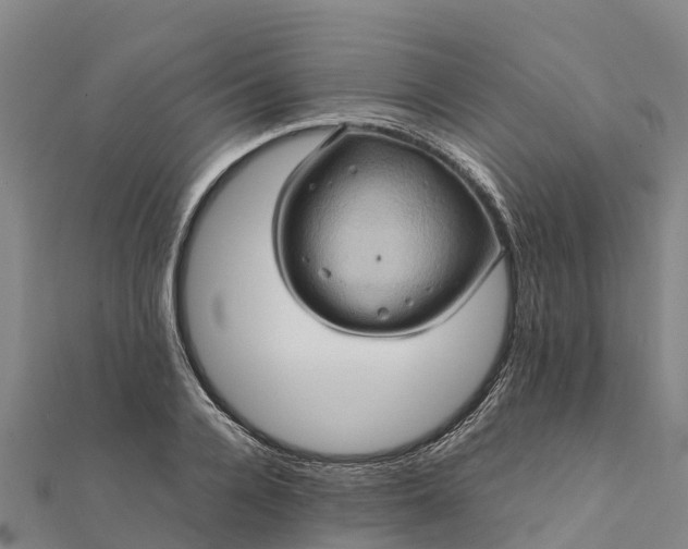 X0000112090936200908181301