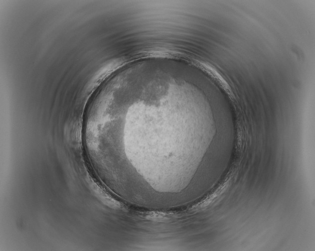 X0000112090938200908181301