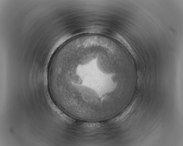 X0000112090939200908181301