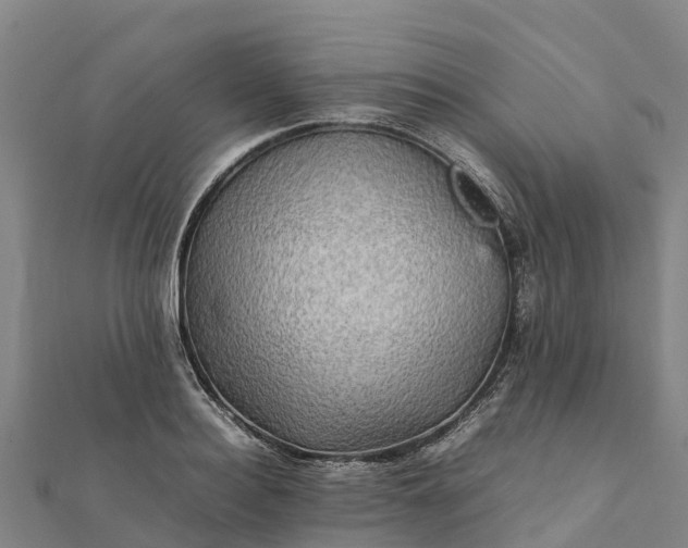 X0000112090940200908181301