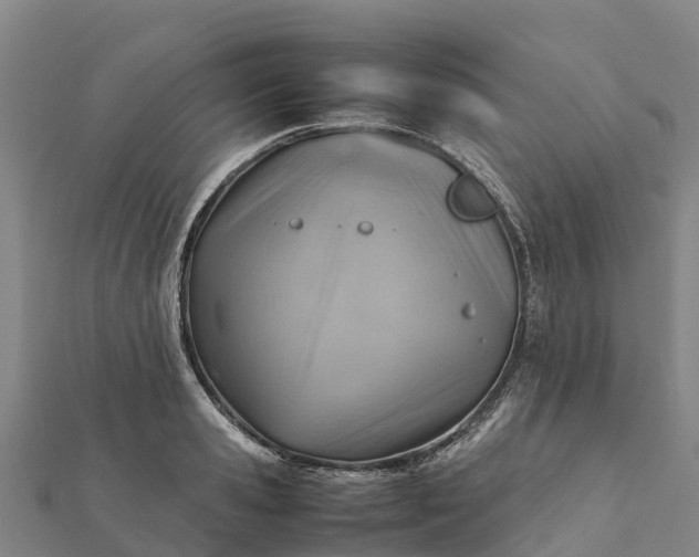 X0000112090941200908181301