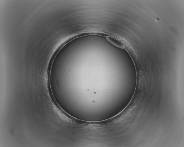 X0000112090942200908181301