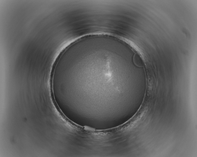 X0000112090943200908181301