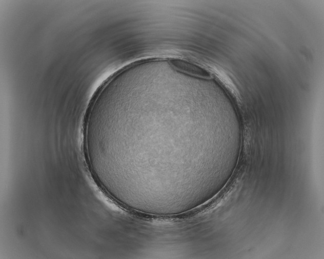 X0000112090944200908181301