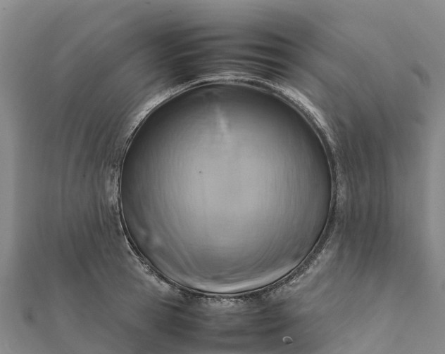 X0000112090945200908181301