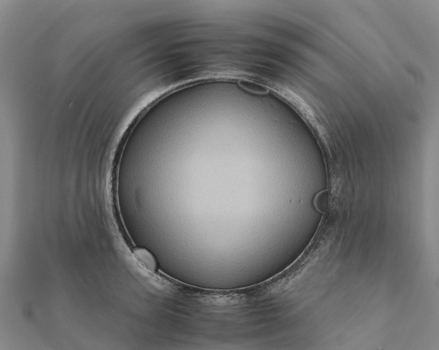 X0000112090947200908181301