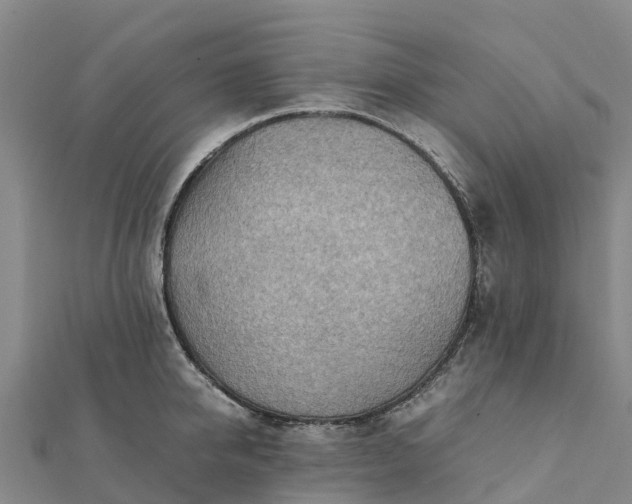 X0000112090950200908181301