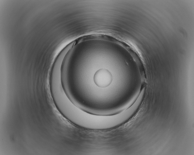 X0000112090952200908181301