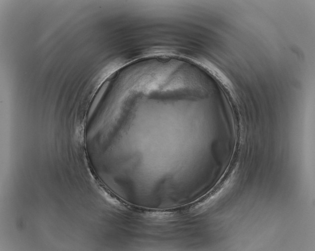 X0000112090953200908181301