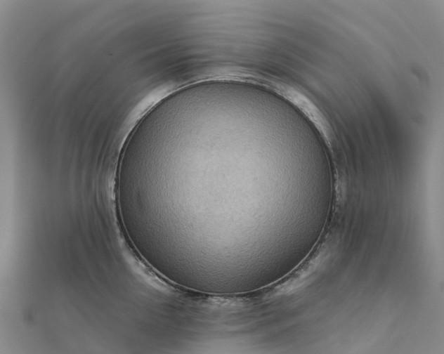 X0000112090954200908181301