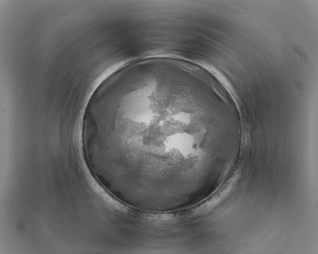 X0000112090957200908181301