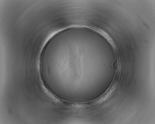 X0000112090958200908181301