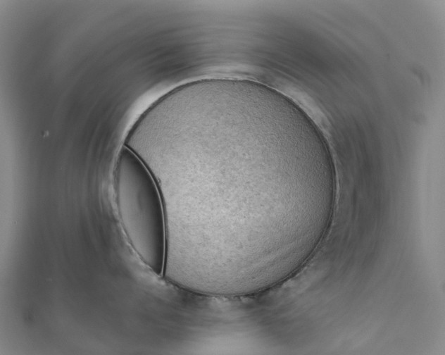 X0000112090960200908181301