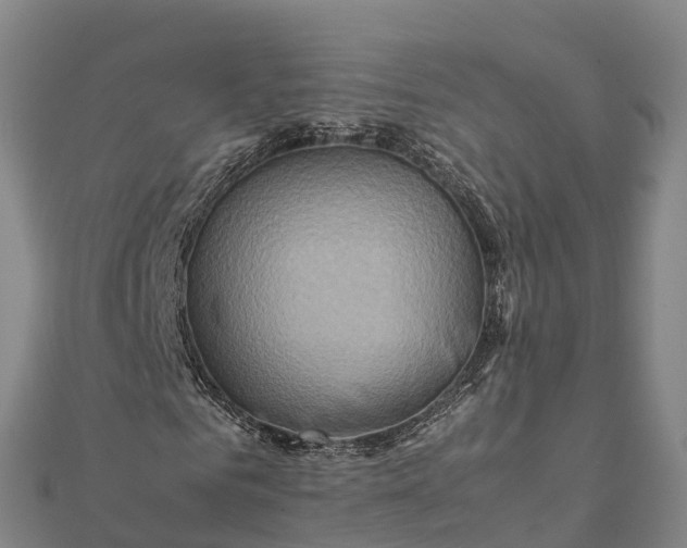 X0000112090961200908181300