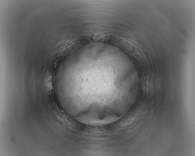 X0000112090962200908181300