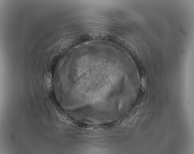 X0000112090963200908181300