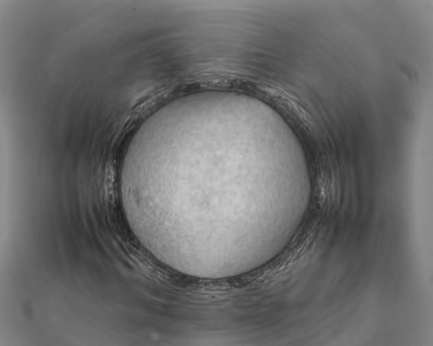 X0000112090964200908181300