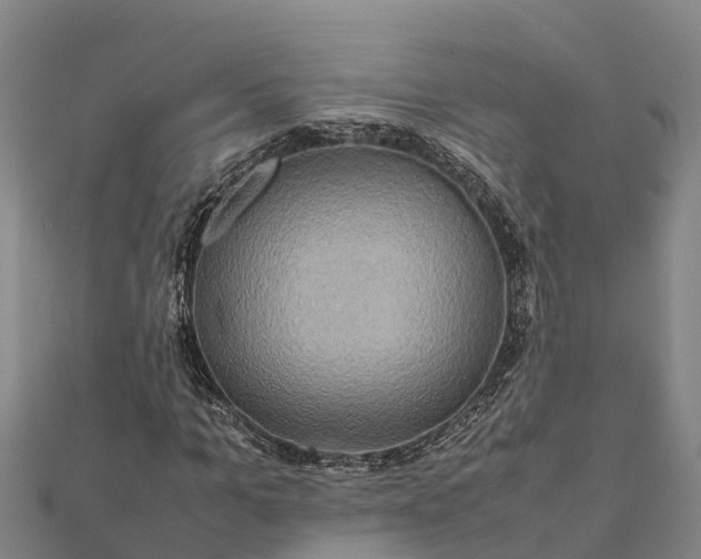 X0000112090965200908181300