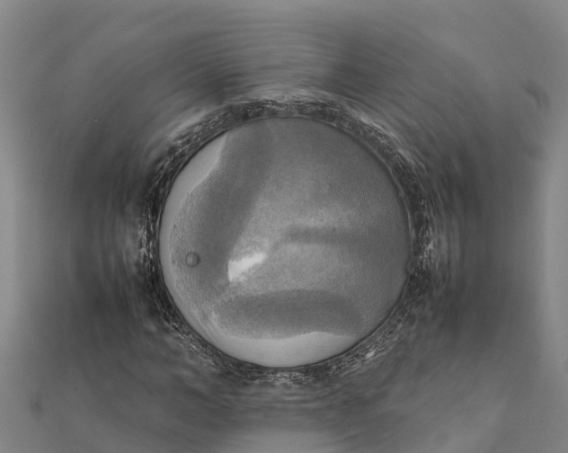 X0000112090966200908181300