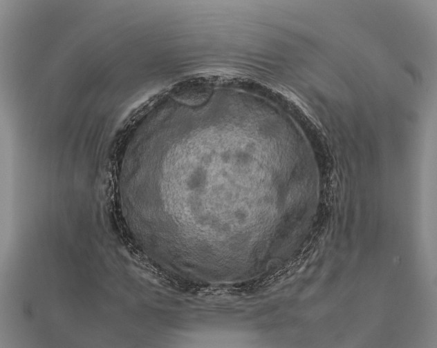 X0000112090967200908181300