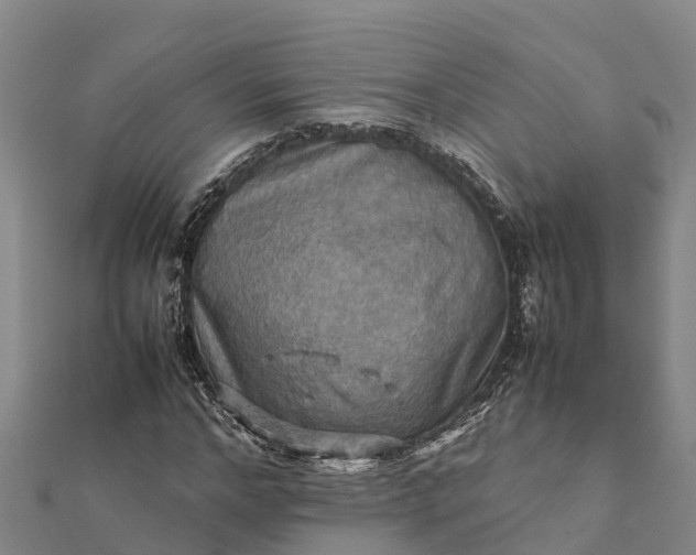 X0000112090968200908181300