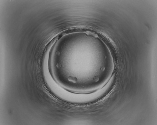 X0000112090969200908181300