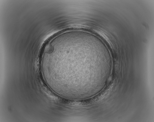 X0000112090971200908181300