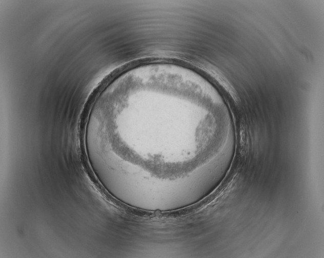 X0000112090972200908181300