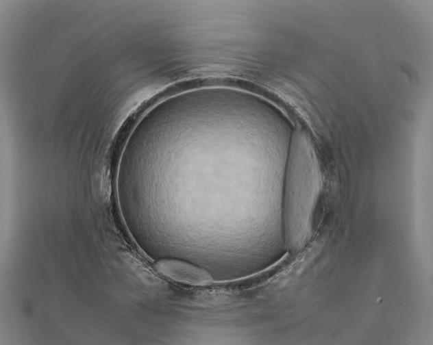 X0000112090973200908181300