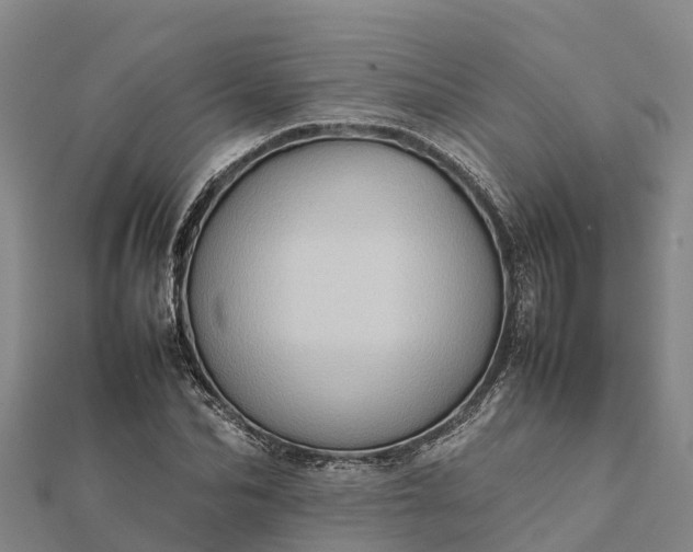 X0000112090974200908181300