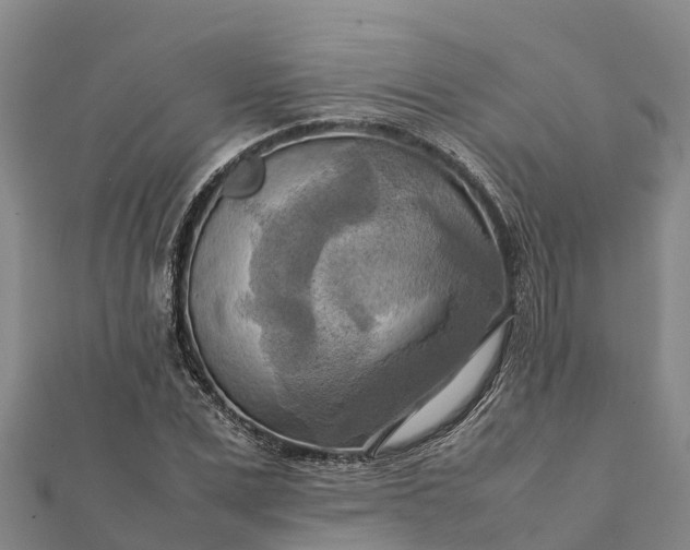 X0000112090975200908181300