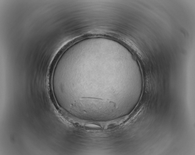 X0000112090976200908181300