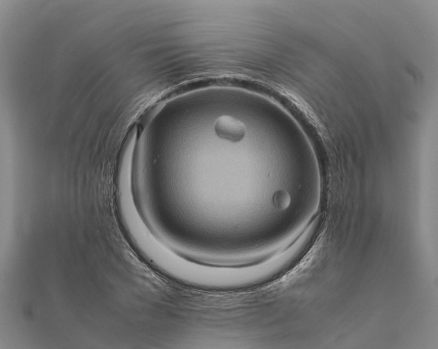 X0000112090977200908181300