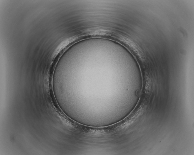 X0000112090978200908181300