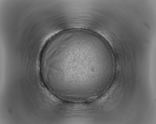 X0000112090979200908181300