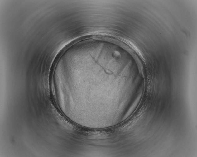 X0000112090980200908181300