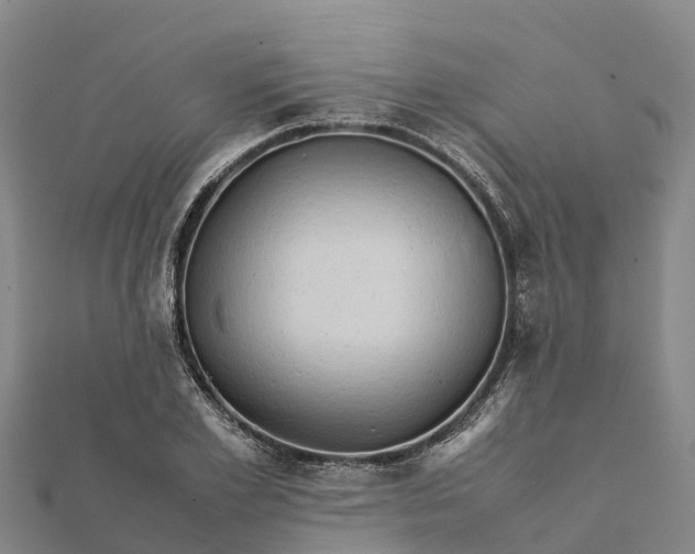 X0000112090981200908181300